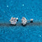 Earrings 925 Sterling Silver High-grade Six-claw Moissanite Earrings