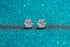 Earrings 925 Sterling Silver High-grade Six-claw Moissanite Earrings