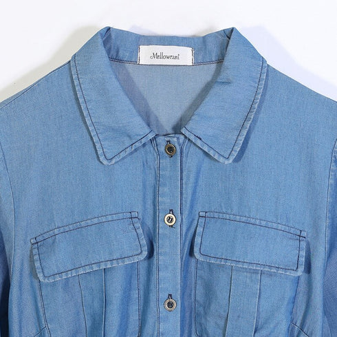 Tencel Denim Simple Plus Size Women's Long Sleeve Dress Denim Plus Size Skirt