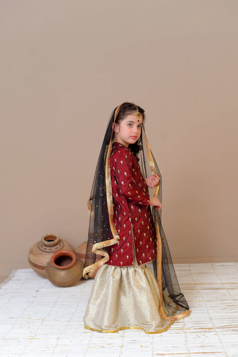 Gharara for Girls