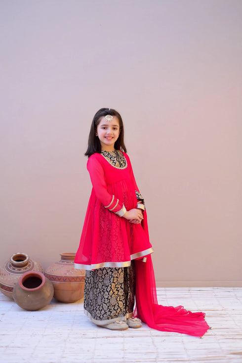 Lehenga Choli for Girls