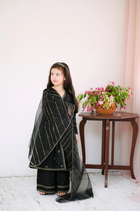 Party Wear Suit for Girls