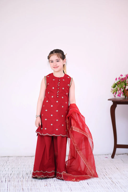 Party Wear Suit for Girls
