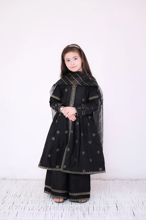 Party Wear Suit for Girls