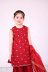 Party Wear Suit for Girls