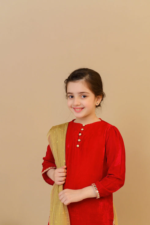 Lehenga Choli for Girls