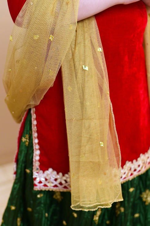 Lehenga Choli for Girls