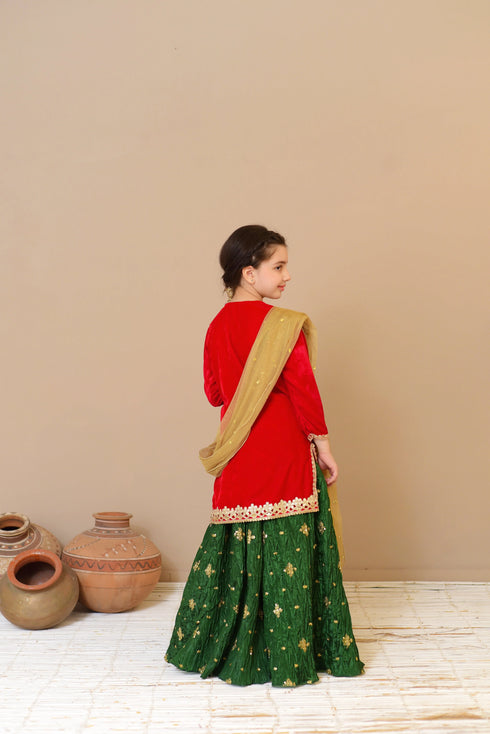 Lehenga Choli for Girls