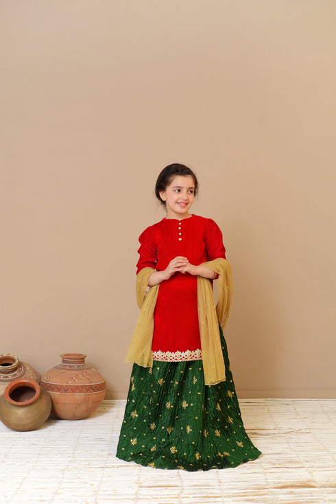 Lehenga Choli for Girls