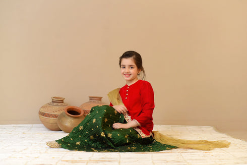 Lehenga Choli for Girls