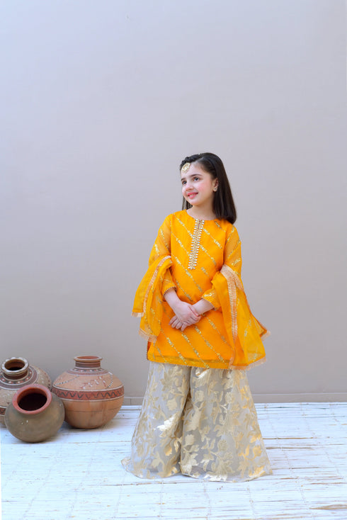Sharara Dress for Girls