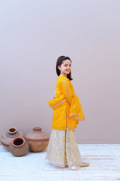 Sharara Dress for Girls