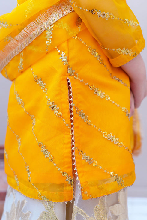 Sharara Dress for Girls