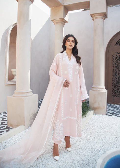 Powder Pink Shirt with Organza Dupatta