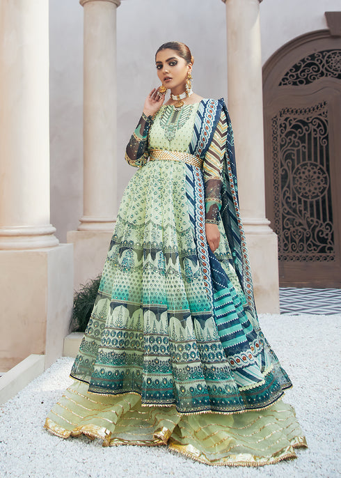 Printed Anarkali Frock